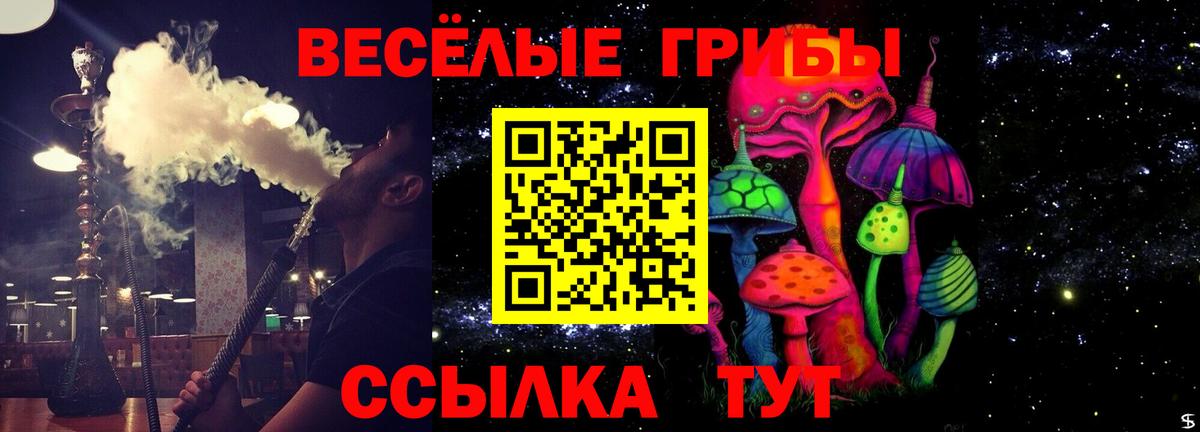 Псилоцибиновые грибы Psilocybe Холмск