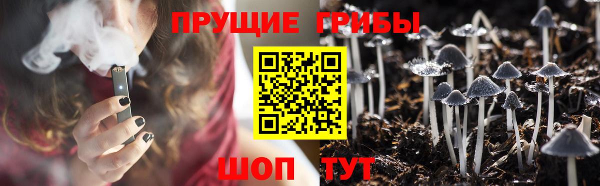 Холмск  Псилоцибиновые грибы Psilocybe  Вход с VPN 