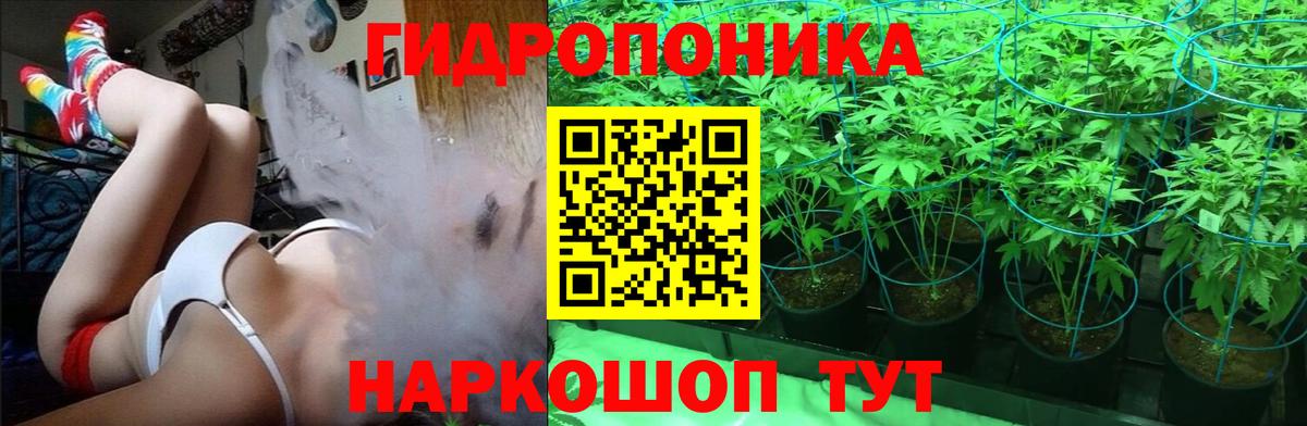 Бошки Шишки MAZAR  Вход с VPN  Бошки марихуана SATIVA & INDICA  Марихуана тримм  Холмск 